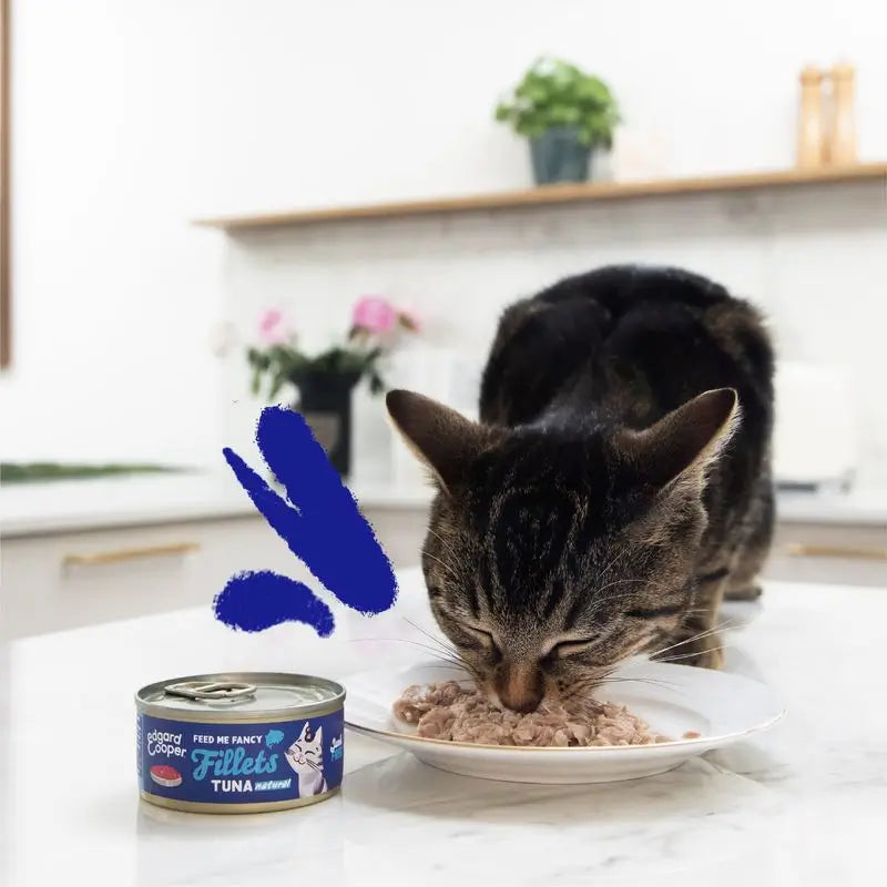 Edgard & Cooper Alimento umido per gatti 24x70g Filetti di tonno senza cereali