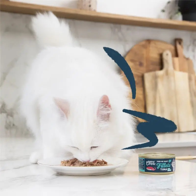 Edgard & Cooper Cibo umido per gatti 24x70g Filetti di tonno e calamari Senza cereali