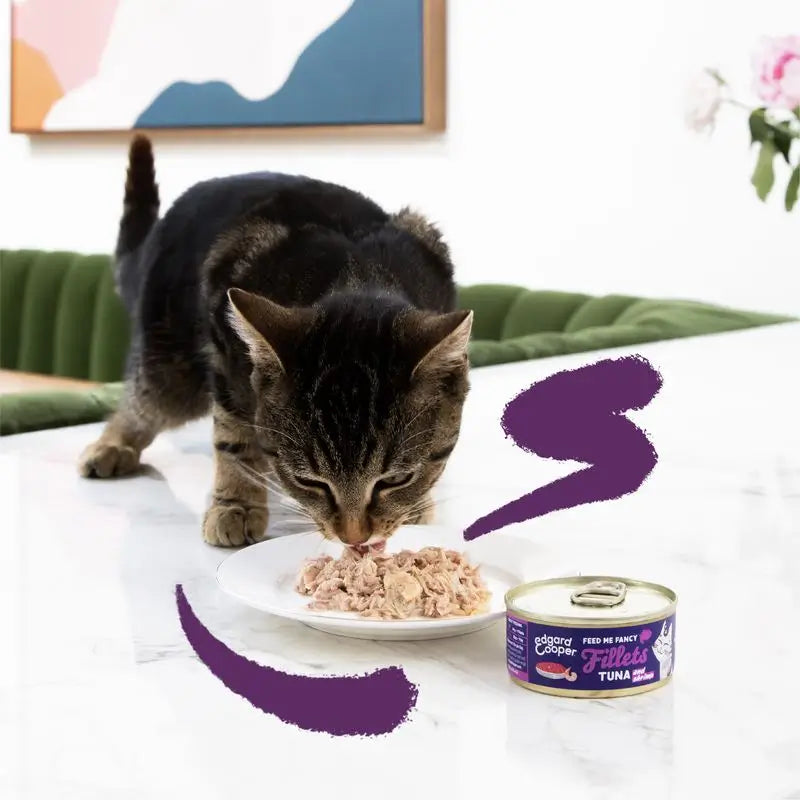 Edgard & Cooper Alimento umido per gatti 24x70g Filetti di tonno e gamberetti senza cereali