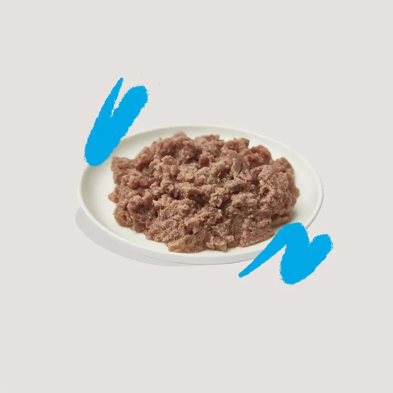 Edgar & Cooper Comida Húmeda Para Gatos 16x85g Adult Salmón Con Acreditación Msc Y Pollo De Corral, Arándanos, Albahaca Y Eneldo