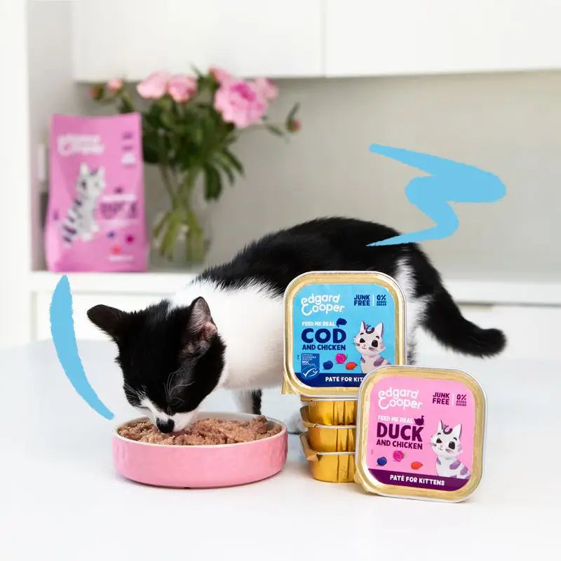 Edgard & Cooper Alimento umido per gatti Kitten 16x85g Merluzzo certificato Msc