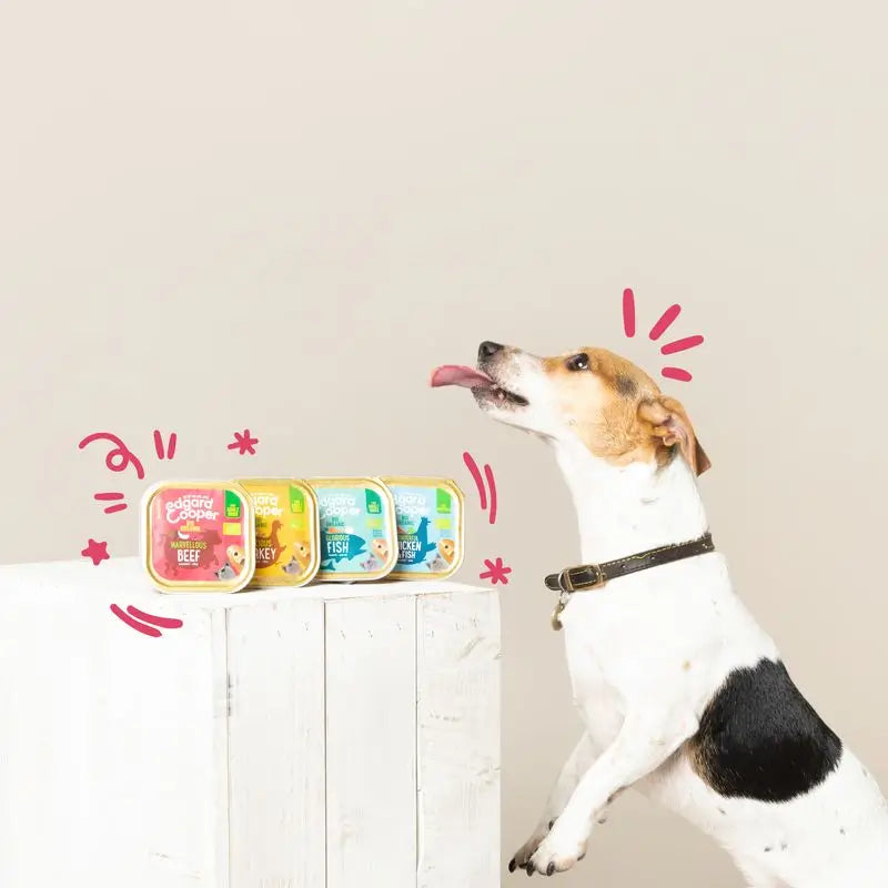Edgard & Cooper Cibo umido per cani 17x100g Manzo biologico