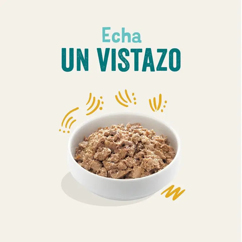 Edgar & Cooper Comida Húmeda Para Perros 17x100g Pavo Orgánico, Coco Y Semillas De Chía Orgánicas