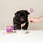 Edgard & Cooper Cibo umido per cani 11x150g Animali selvatici e anatra