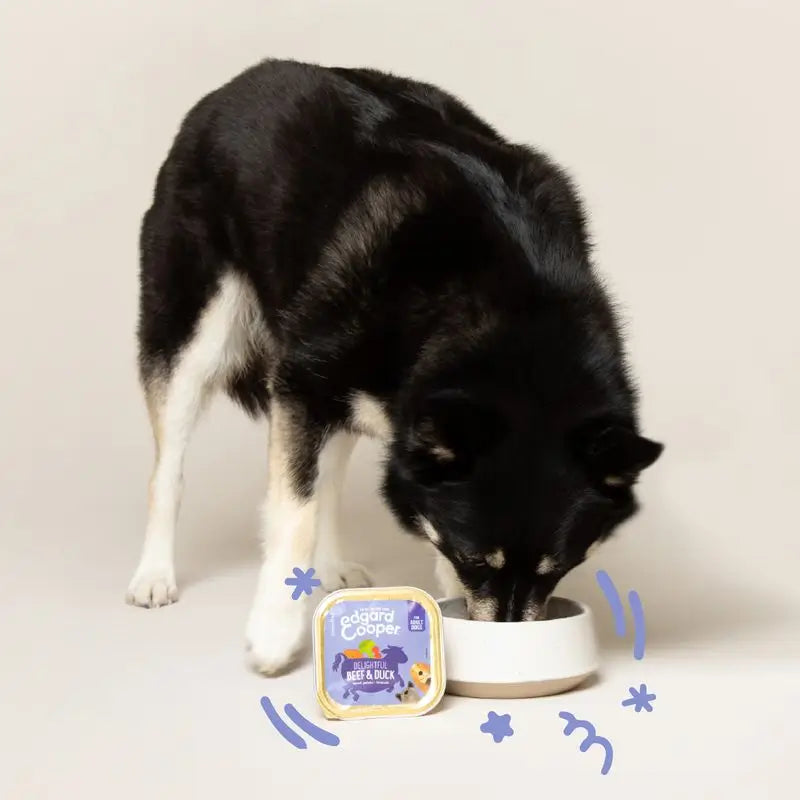 Edgard & Cooper Cibo umido per cani 11x150g Manzo e anatra