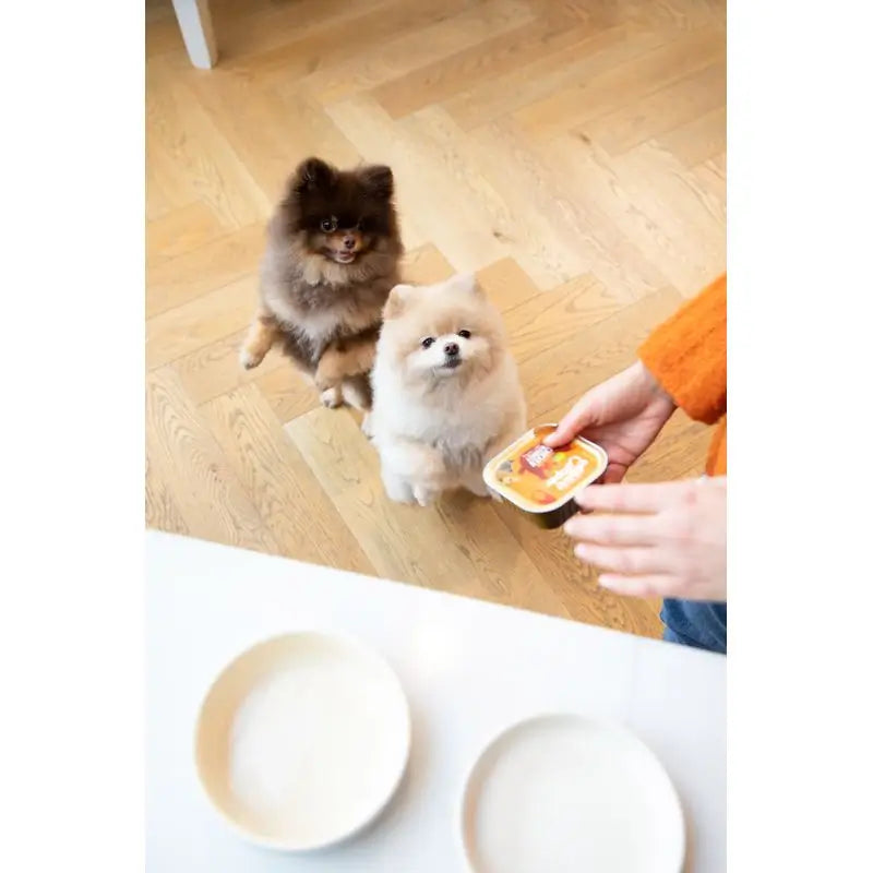 Edgard & Cooper Alimento umido per cani 11x150g Pollo e Tacchino