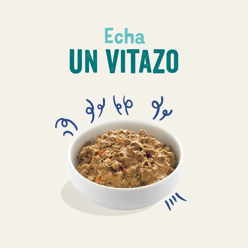 Edgard & Cooper Cibo umido per cani 11x150g Salmone