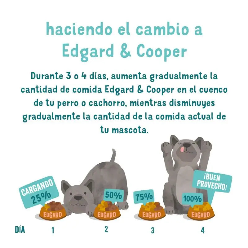 Edgard & Cooper Cibo umido per cani 11x150g Salmone