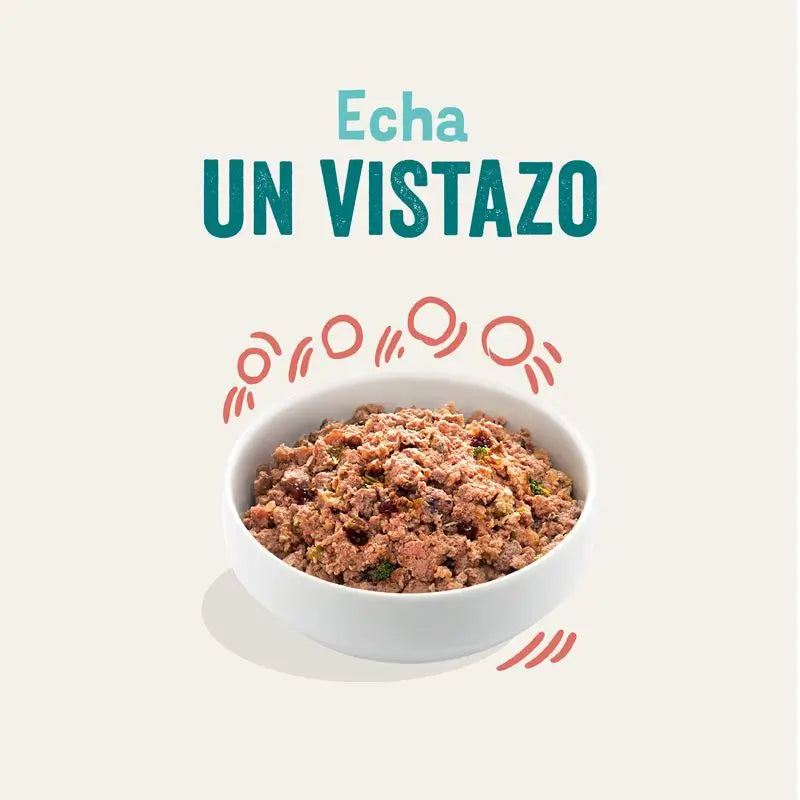 Edgard & Cooper Cibo umido per cani 6x400g Pollo e Salmone