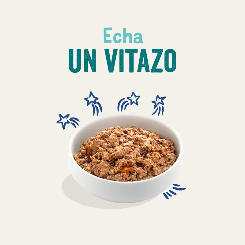 Edgard & Cooper Cibo umido per cani 6x400g Salmone