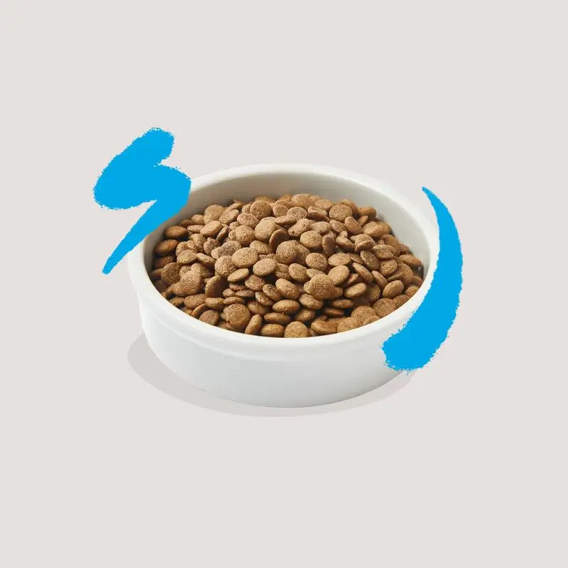 Edgar & Cooper Pienso Para Gatos 2kg Adult  Salmón Fresco Del Atlántico, Arándanos, Albahaca Y Eneldo