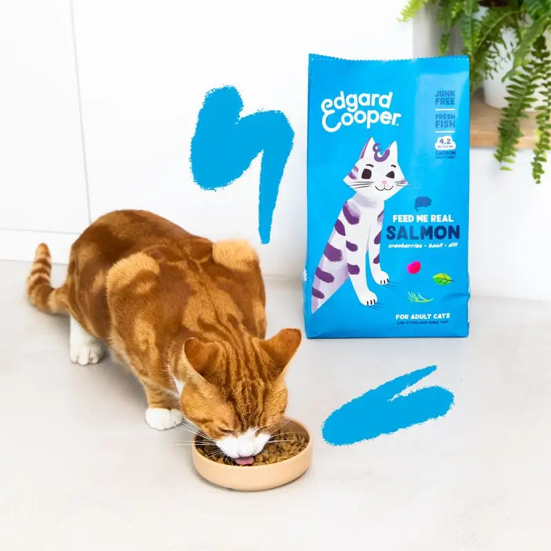 Edgar & Cooper Pienso Para Gatos 2kg Adult  Salmón Fresco Del Atlántico, Arándanos, Albahaca Y Eneldo