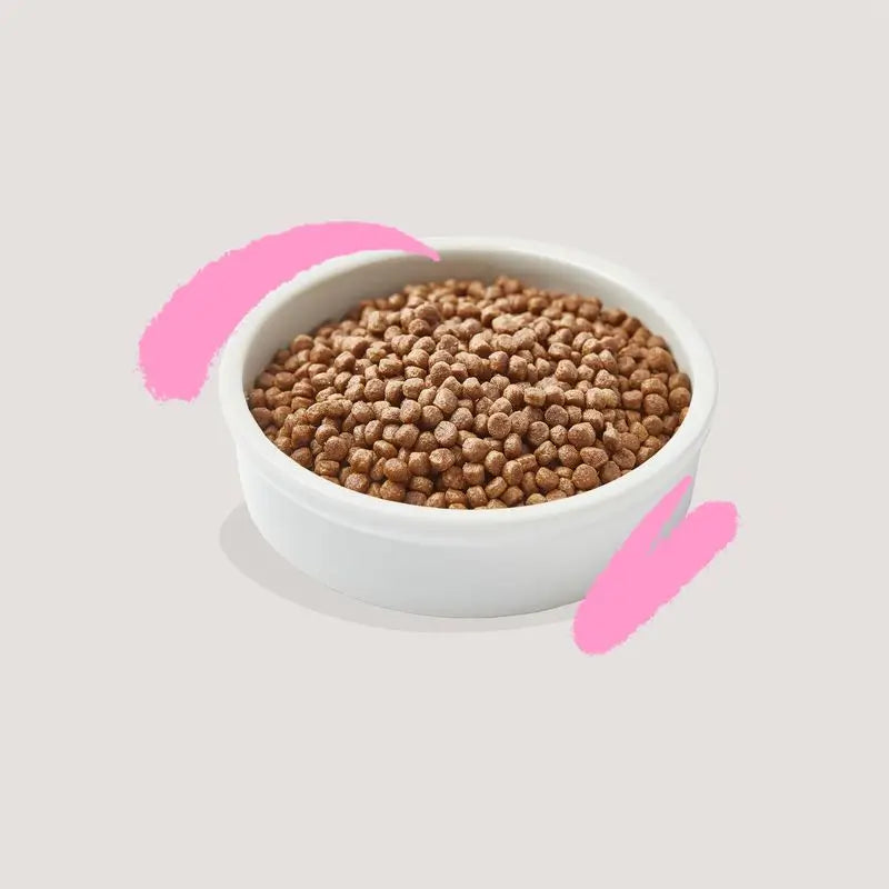 Edgard & Cooper cibo per gatti 325g Anatra fresca dall'aia