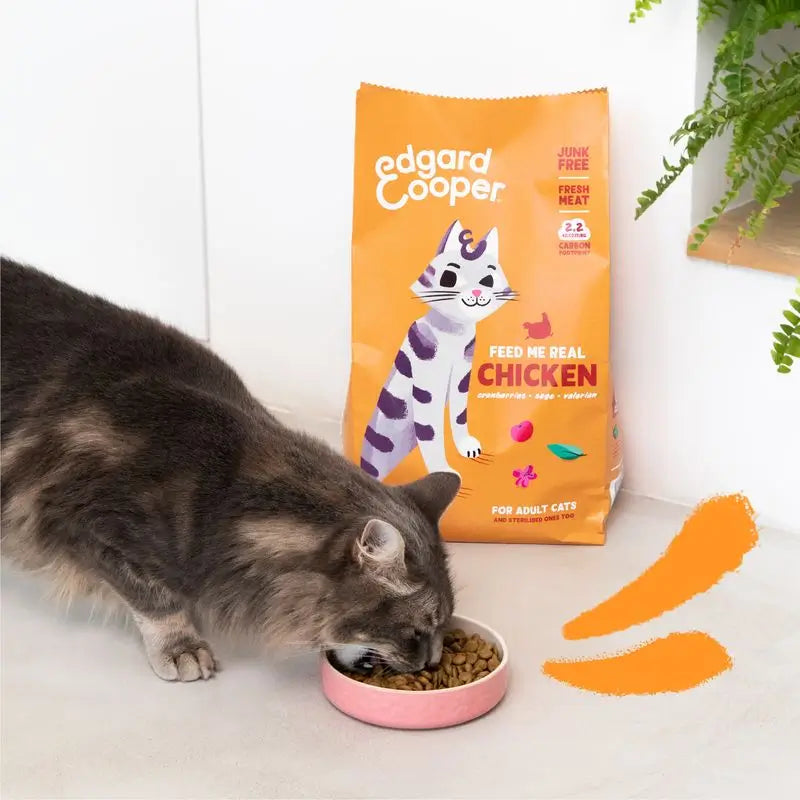 Edgard & Cooper Cat Food Adult 4 kg Pollo fresco di cortile