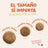 Edgard & Cooper per cani adulti di taglia grande con pollo fresco , 12 kg
