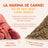 Edgard & Cooper per cani adulti di taglia grande con pollo fresco , 12 kg