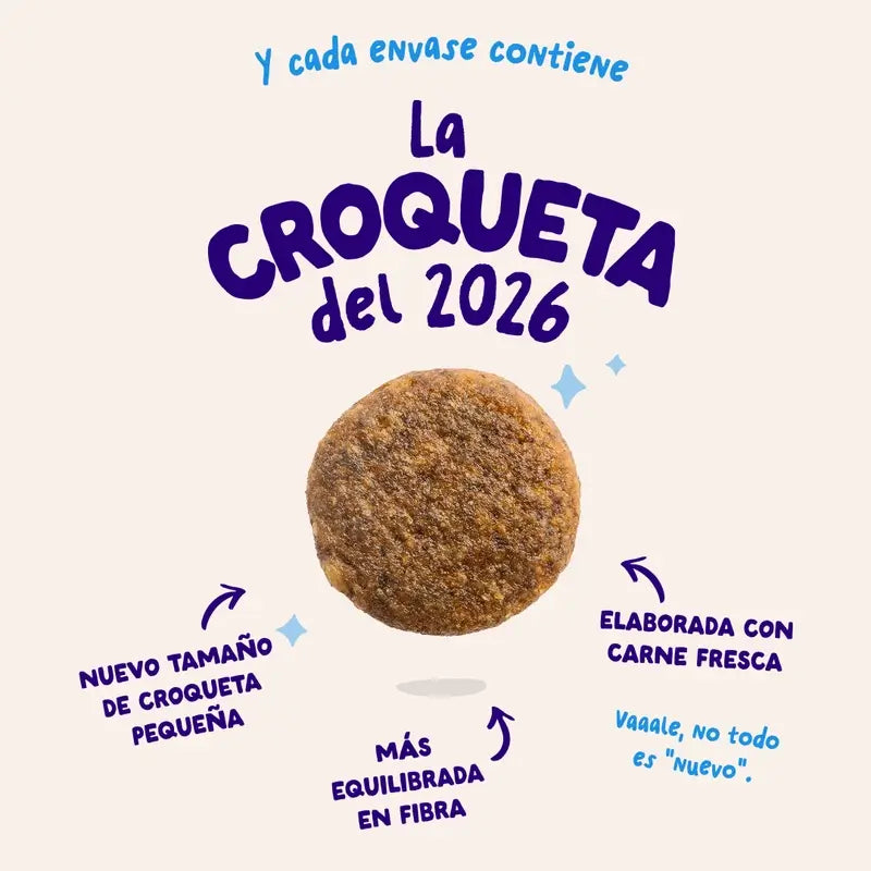 Edgard & Cooper Cibo per cani adulti di taglia grande con salmone fresco, 12 kg