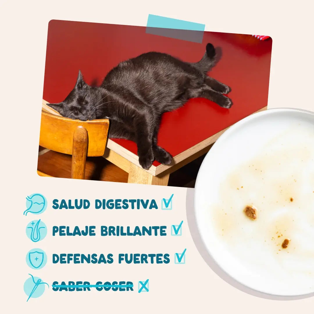 Edgard & Cooper Tonno e pollo in salsa per cani adulti, 12x85 g