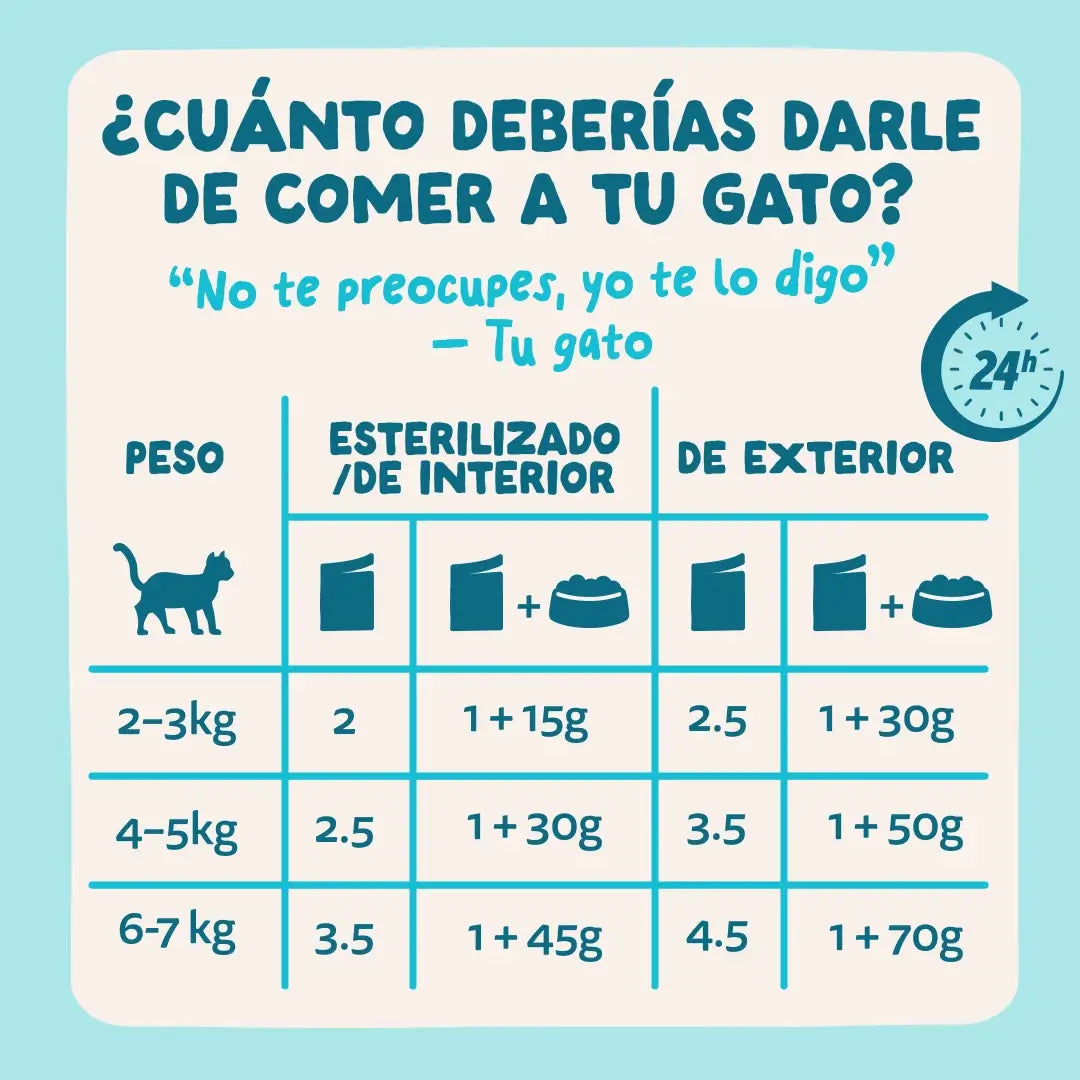 Edgard & Cooper Tonno e pollo in salsa per cani adulti, 12x85 g
