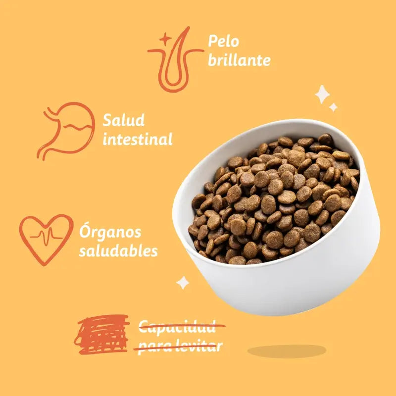 Edgard & Cooper Mini Cibo per cani adulti con pollo fresco , 3 kg