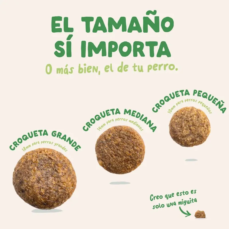 Edgard & Cooper Cibo medio per cani adulti con agnello fresco , 1 kg