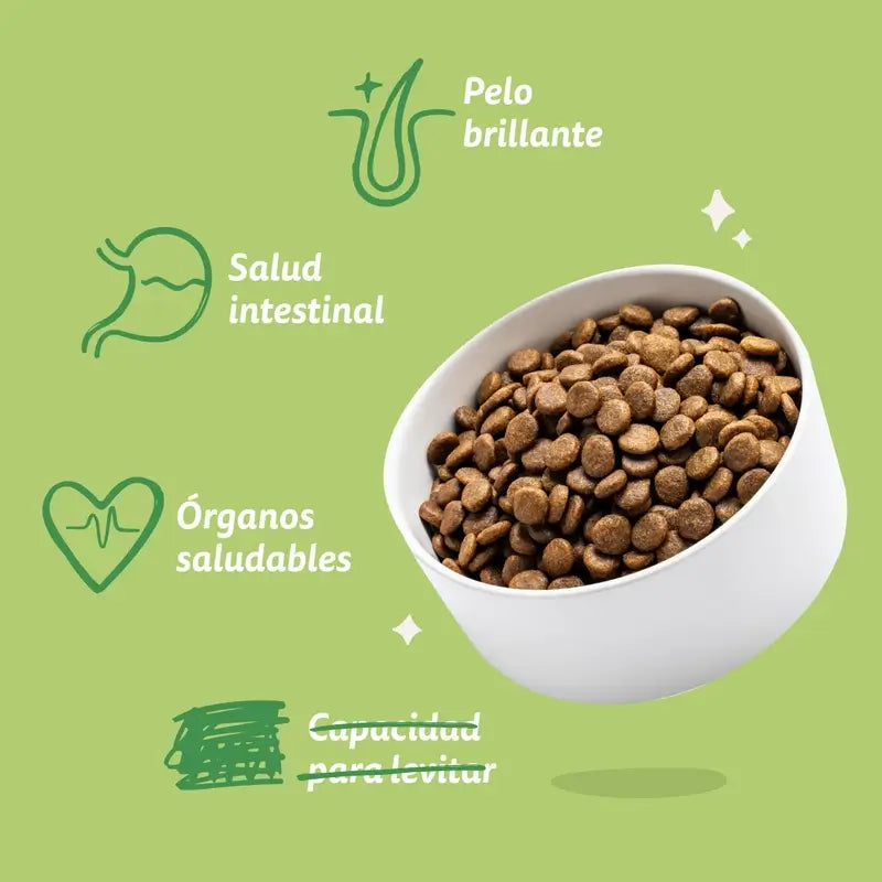 Edgard & Cooper Cibo medio per cani adulti con agnello fresco , 1 kg