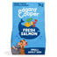 Edgard & Cooper Mini Cibo per cani adulti con salmone fresco , 3 kg
