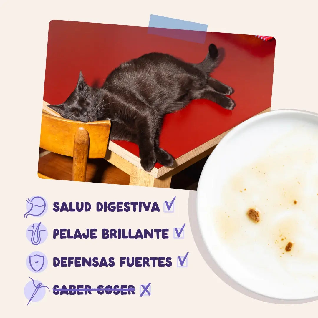 Edgard & Cooper Anatra e Tacchino in Salsa per cani adulti, 12x85 g