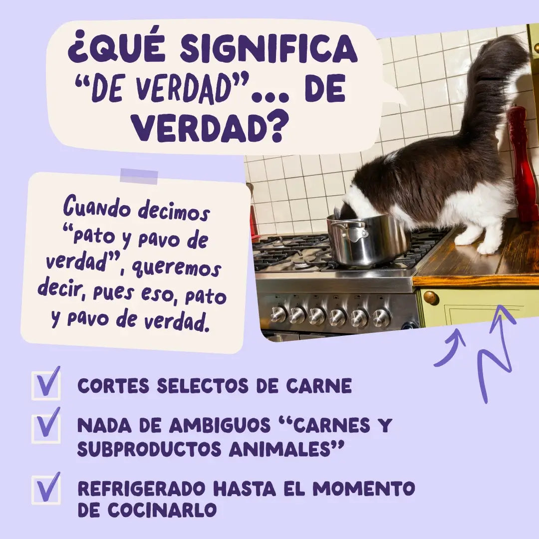 Edgard & Cooper Anatra e Tacchino in Salsa per cani adulti, 12x85 g