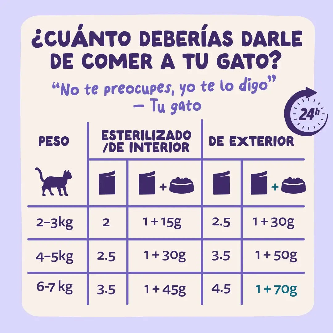Edgard & Cooper Anatra e Tacchino in Salsa per cani adulti, 12x85 g