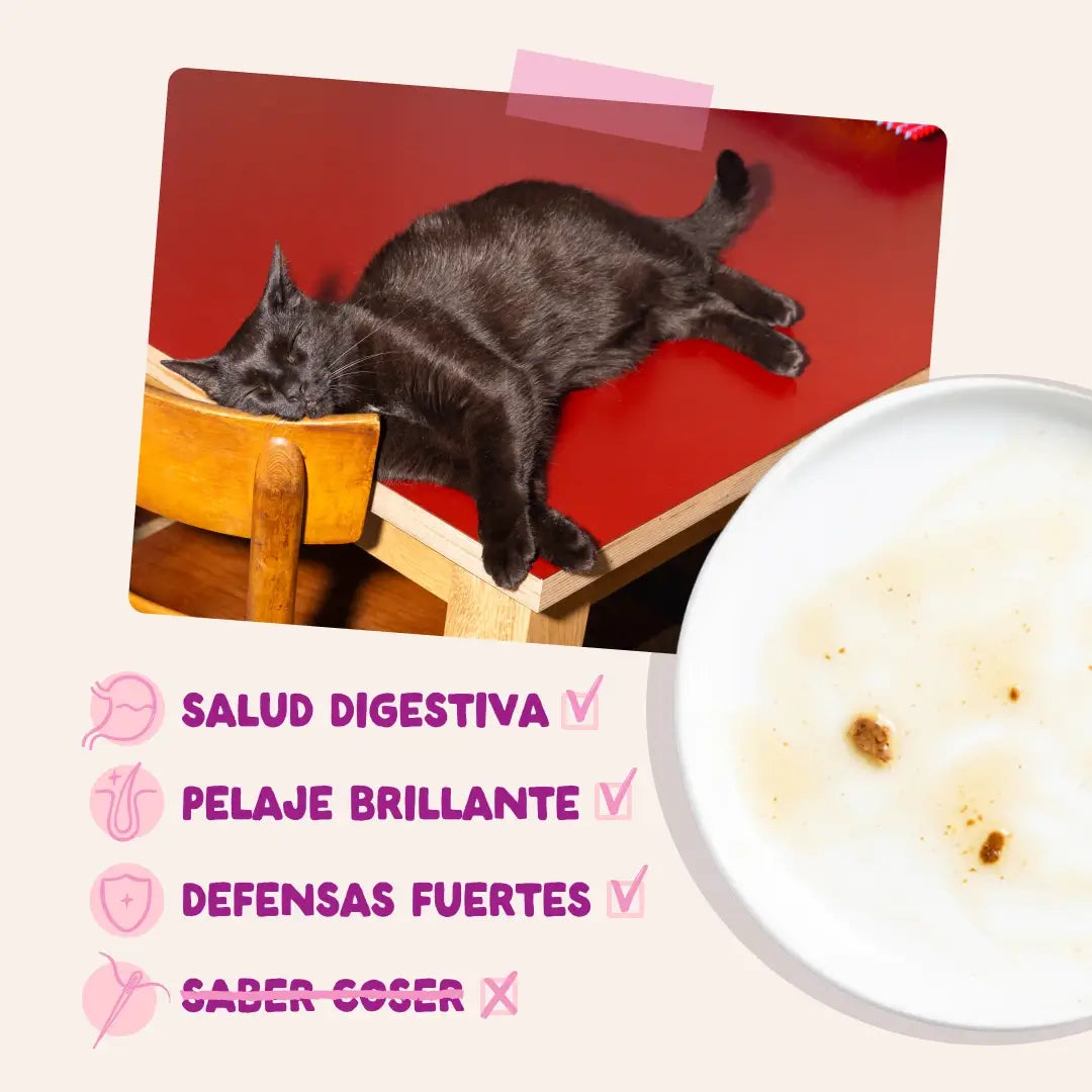 Edgard & Cooper Anatra e pollo in salsa per gattini, 12x85 g