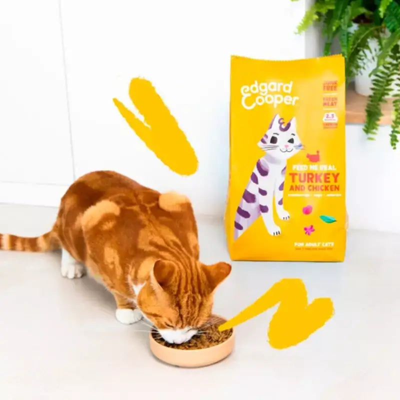 Edgard & Cooper Cibo per gatti adulti con tacchino e pollo fresco, 2 kg