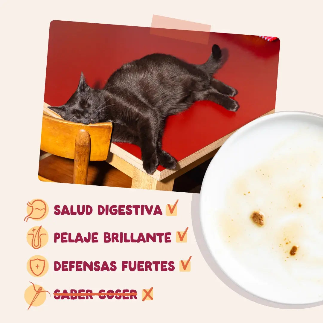 Edgard & Cooper Pollo in salsa per cani adulti, 12x85 g