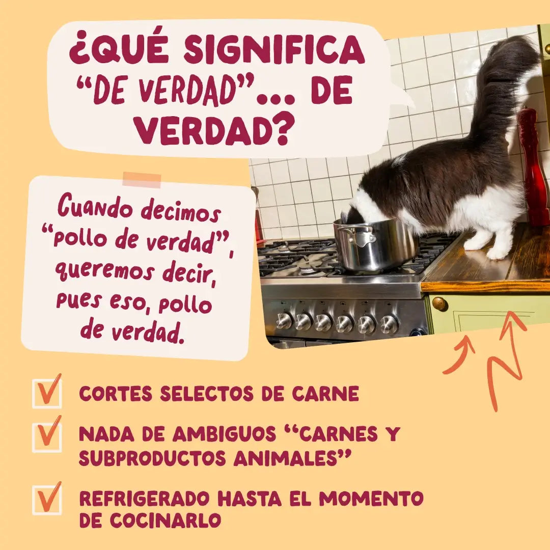 Edgard & Cooper Pollo in salsa per cani adulti, 12x85 g