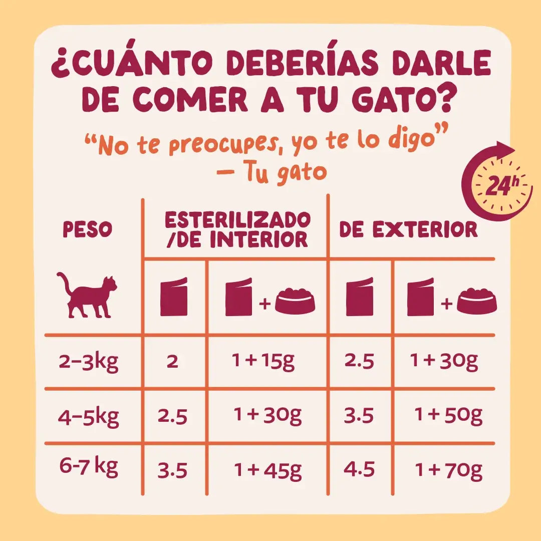 Edgard & Cooper Pollo in salsa per cani adulti, 12x85 g