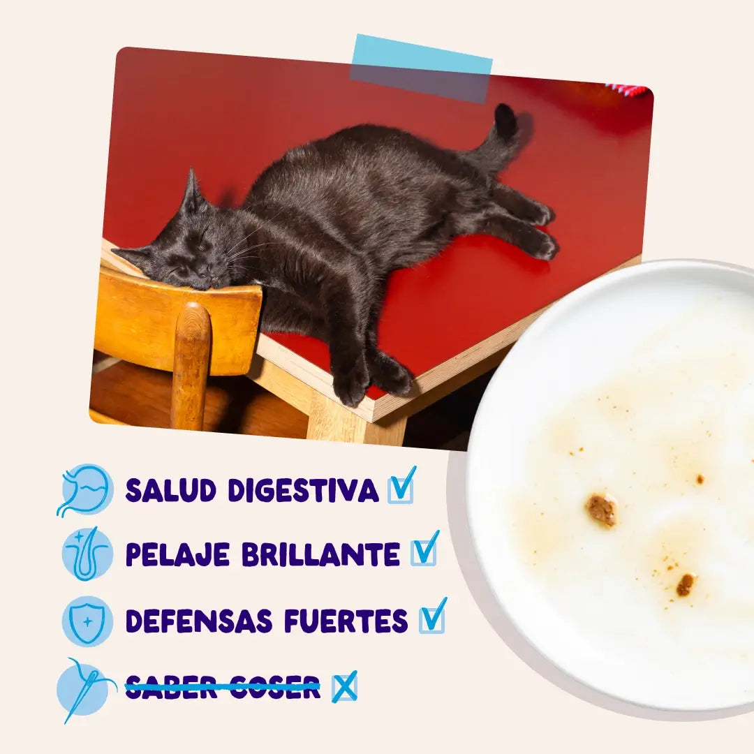 Edgard & Cooper Selezione "Cattura del giorno" in salsa per cani adulti - Confezione multipla, 12x85 g
