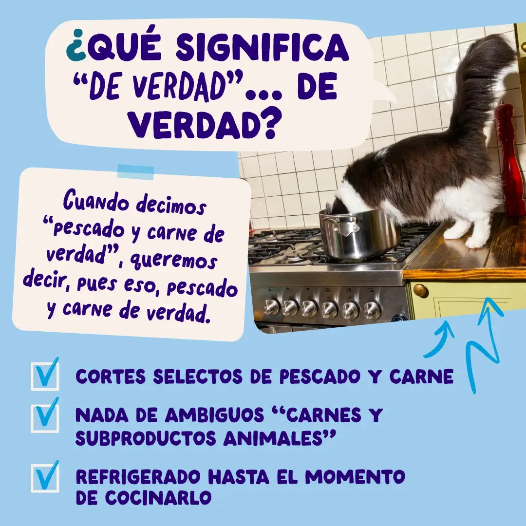 Edgard & Cooper Selezione "Cattura del giorno" in salsa per cani adulti - Confezione multipla, 12x85 g