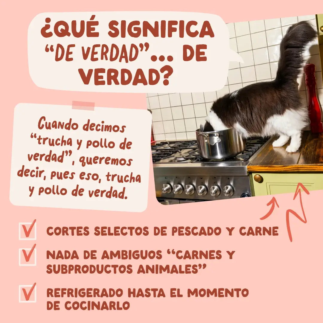 Edgard & Cooper Trota e pollo in salsa per cani adulti, 12x85 g