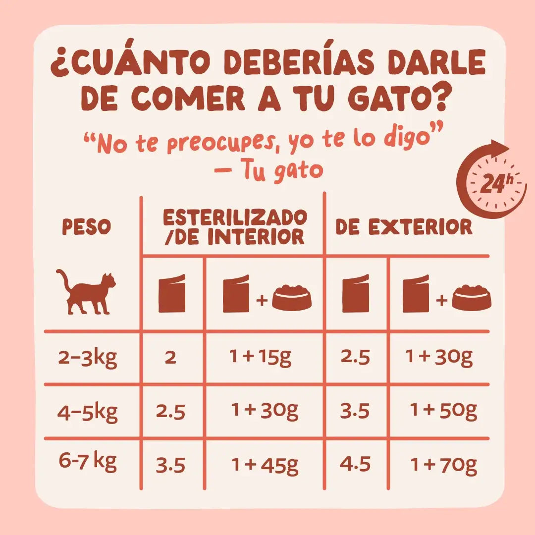 Edgard & Cooper Trota e pollo in salsa per cani adulti, 12x85 g