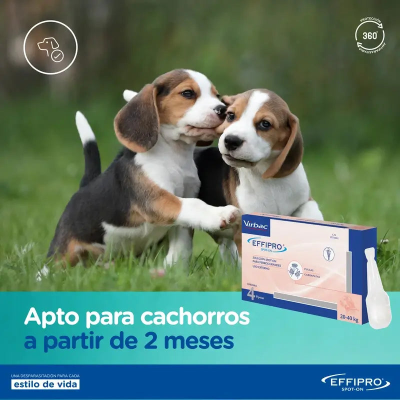 Effipro 402 Mg Spot-On Cani di taglia grande +40Kg, 4 pipette