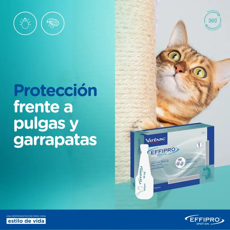 Effipro 50 Mg Spot-On Gatti, 4 pipette