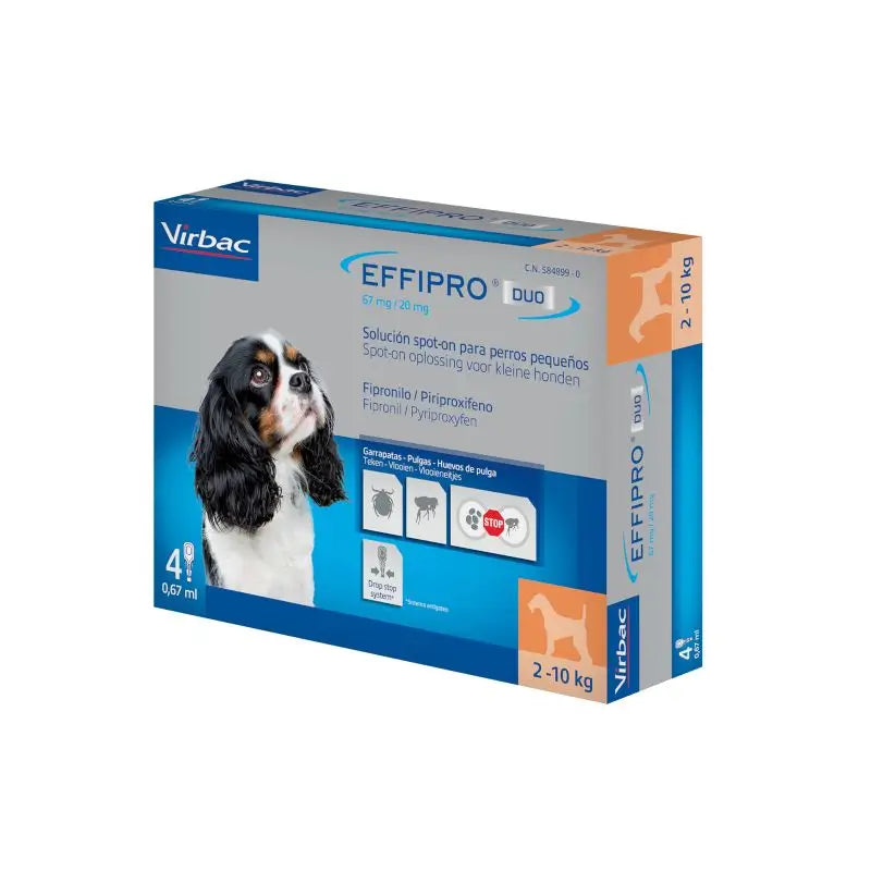 Effipro Duo Spot-On Cani di piccola taglia 2-10Kg, 4 pipette