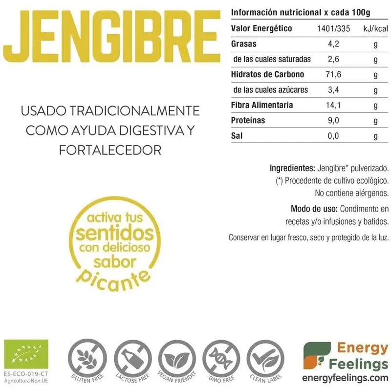 Energy Feelings Zenzero in Polvere 1Kg. Eco Vegan Sg