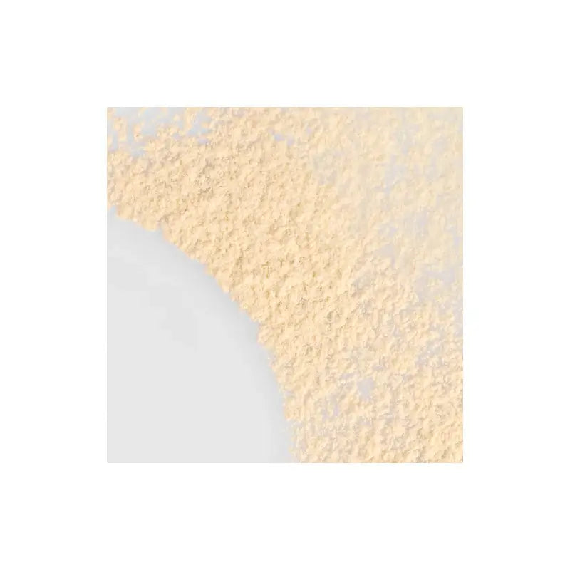 Erborian Set & Care Powder 8 g