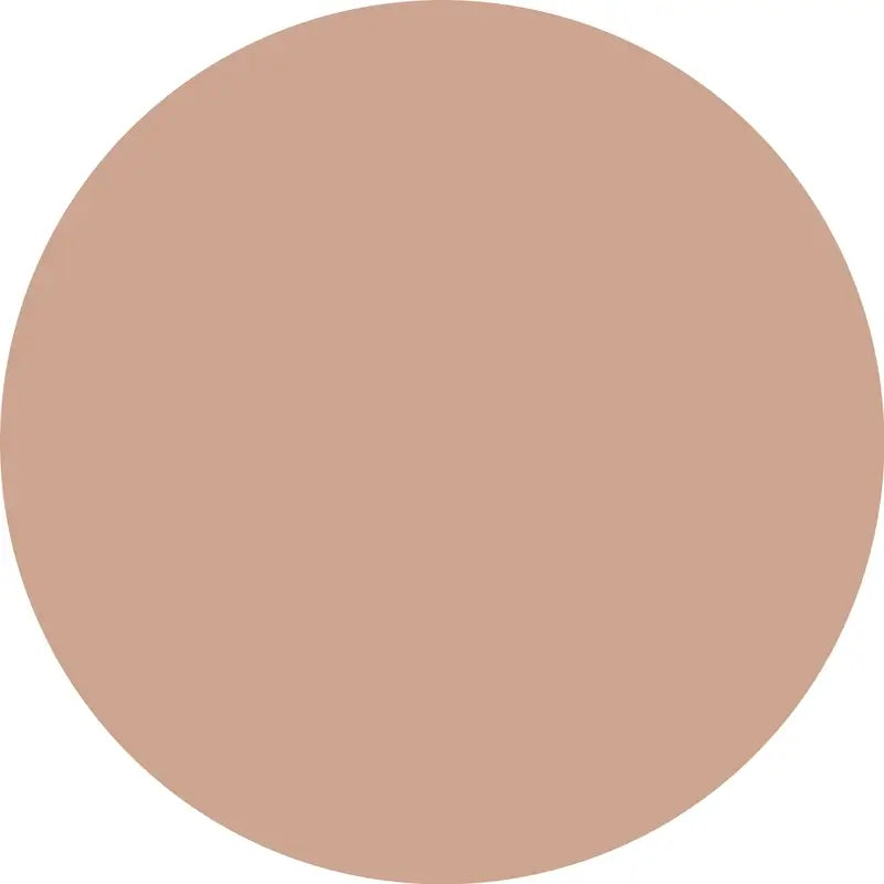 Essence Correttore Camouflage+ Matt 160 , 8 ml