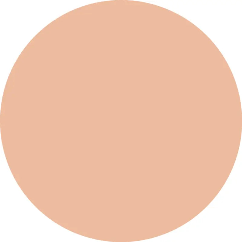 Essence Fondotinta Silky Cushion Foundation 100, 12 g