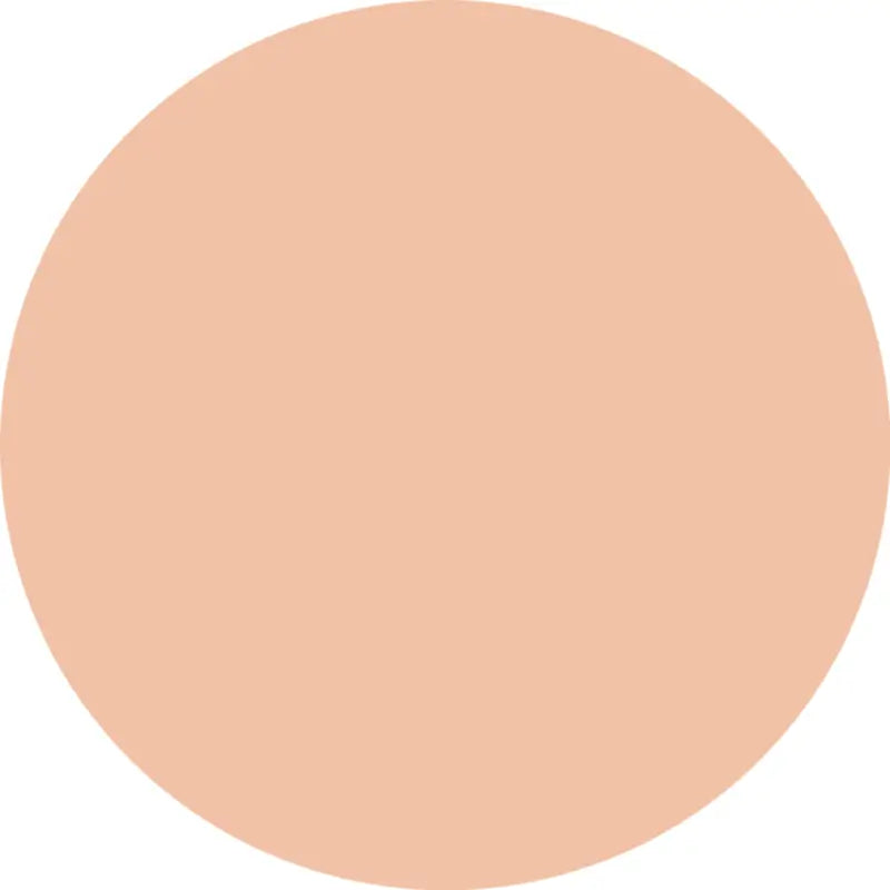 Essence Fondotinta Silky Cushion Foundation 110, 12 g