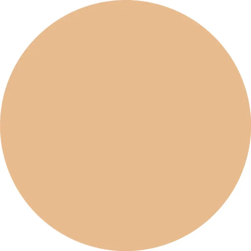 Essence Fondotinta Silky Cushion Foundation 120, 12 g
