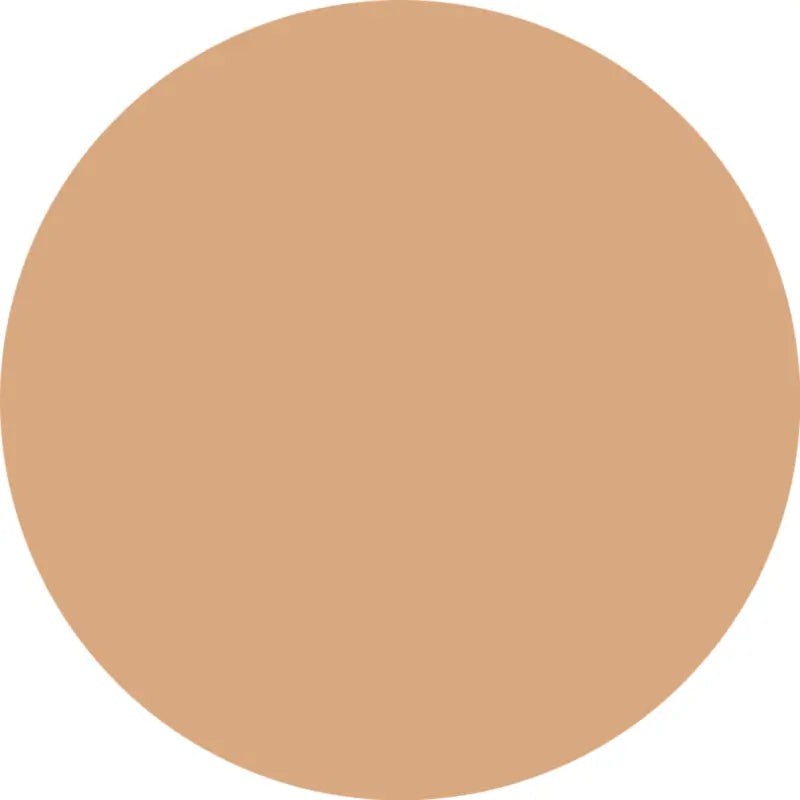 Essence Fondotinta Silky Cushion Foundation 168, 12 g
