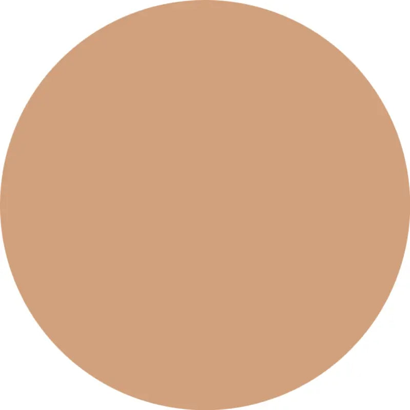 Essence Fondotinta Silky Cushion Foundation 170, 12 g